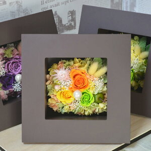 vU[uht[ uEEbh{bNXAWg 3COLOR aj j JXj Vzj hV̓ ̓ v[g Mtg 蕨  j җ  Ď  