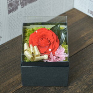 vU[uht[ {bNXt[ 1փo u[  AWg 蕨 v[g t[Mtg  aj j LO NX}X 20 30 40 ޏ  u