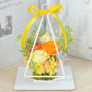 vU[uht[ AWg ̓ 2025 aj j v[g  t[Mtg Ď P  Ê j   c uU[ht[ uU[uht