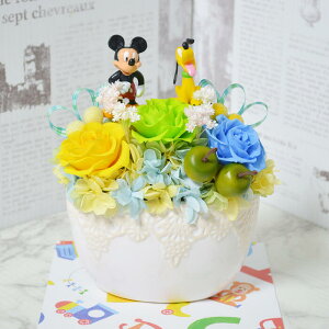 DISNEY fBYj[ ~bL[Ev[g  vU[uht[ AWg 蕨 v[g t[Mtg aj j LO NX}X 20 30 40 ޏ  u