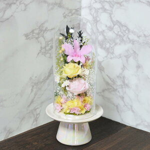 vU[uht[  ^h[ _(ނ) ފ d  ybg  uU[ht[ 蕨 ~