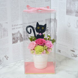 楽天市場 プリザーブドフラワー 黒猫の通販