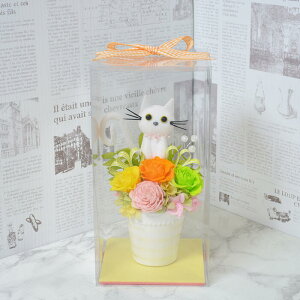 vU[uht[ VlR L AWg 蕨 v[g t[Mtg  a j LO