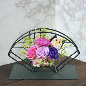 vU[uht[ a KĂԃtNE ߉ ꂢ 蕨 Mtg aj j җj v[g t[Mtg  Mtg Ê  hV̓ 蕨  P 