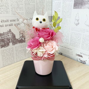 vU[uht[ L AWg 蕨 v[g t[Mtg  a j LO