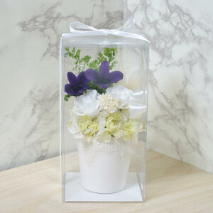  vU[uht[ zCg&p[v  d @  ybg  uU[ht[ 蕨 ~ ~