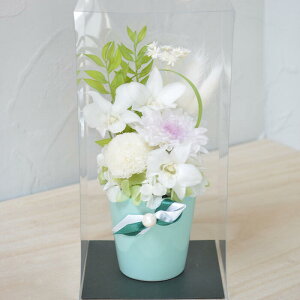  vU[uht[ zCg&O[  d @  ybg  uU[ht[ 蕨 ~ ~