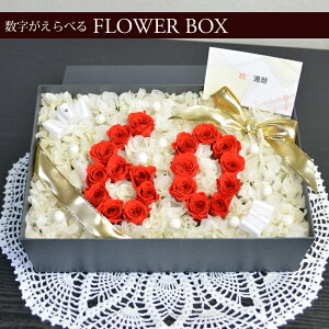 DȐIvU[uht[{bNX lp J[Fbh {bNXt[ boxt[ t[Mtg a  uU[ht[ AWg NX}X 