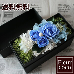  box t[{bNX vU[uht[ u[ ̓  Mtg aj j v[g 2024 蕨 ސE \ LO j AWg 