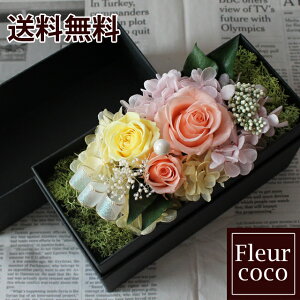  box t[{bNX vU[uht[ IW ̓  Mtg aj j v[g 2024 蕨 ސE \ LO j AWg 