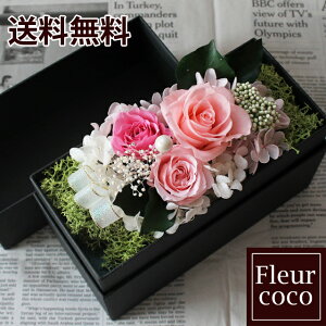  box t[{bNX vU[uht[ sN ̓  Mtg aj j v[g 2024 蕨 ސE \ LO j AWg 