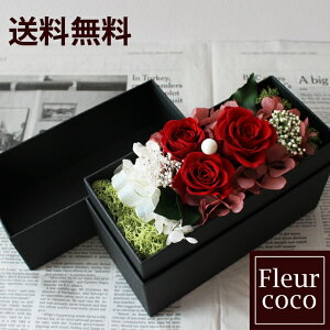  box t[{bNX vU[uht[ bh ̓  Mtg aj j v[g 2024 蕨 ސE \ LO j AWg 