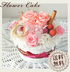 vU[uht[ t[P[L J[FsN p{bNXt t[Mtg  j 蕨 v[g ̓ aj ސEj zj Vzj JX J j 