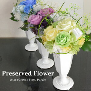 SʃNAP[Xt vU[uht[AWg 3COLOR  Mtg 蕨 v[g a j ސE җ  LO t[Mtg