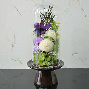   vU[uht[ h[ zCg&p[v  ~ ފ d  ybg  uU[ht[ 蕨