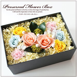 vU[uht[{bNX lp LTCY J[FIW {bNXt[ boxt[ t[Mtg a  hV̓  uU[ht[ 蕨