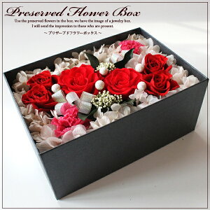 vU[uht[{bNX lp LTCY J[Fbh {bNXt[ boxt[ t[Mtg a  uU[ht[ AWg NX}X uU[ht[ 