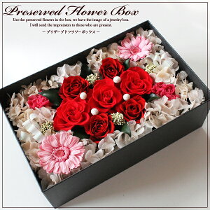 vU[uht[{bNX lp LLTCY J[Fbh {bNXt[ boxt[ t[Mtg a  uU[ht[ AWg NX}X vU[ht[ 