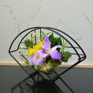  a vU[uht[ AWg @ԁi񂩁j aj j җj v[g t[Mtg hV̓ N ސE 2024