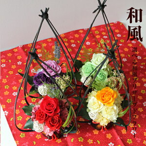 |ĂɓavU[uht[ 4COLOR  t[Mtg a v[g Mtg җj hV̓ 