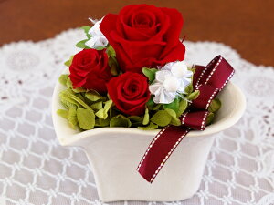 vU[uht[ cherie(VF[) aj j 蕨 j v[g LO t[Mtg ̓  Mtg җj 20 30 40 uU[ht[ uU[uh