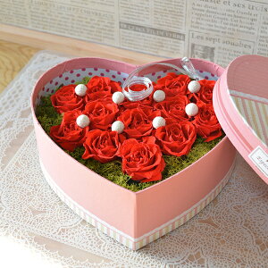 vU[uht[ n[g^boxt[ t[{bNX bh {bNXt[ ̓ a ސE boxt[ v[g   AWg ̓Mtg ̓