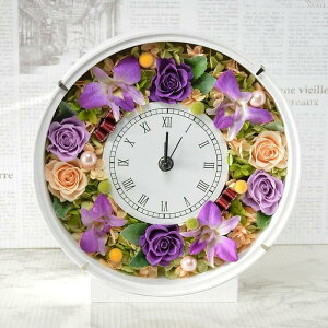  v vU[uht[ GKg p[v Vzj JXj JƏj Mtg 蕨 v[g AWg o Ԏv