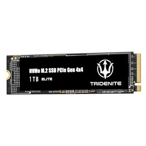 TRIDENITEELITE����SSD1TBGen4PCIeNVMeM.22280-�ǂݍ��ݍő�7200MB/�b�A�������ݍő�6000MB/�b-DDR41GBDRAM�L���b�V������