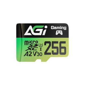 AGI256GBMicroSDJ[hA2U3V304KC10(ǂݍ݁Eݑx170/160MBs)TF138}CNsdJ[h