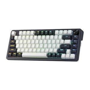 Redragon K673 PRO 75%���C�����X�K�X�P�b�gRGB�Q�[�~���O�L�[�{�[�h|3���[�h|81�L�[|�R���p�N�g|���J�j�J���L�[�{�[�h|�z�b�g�X���b�v�\�P�b�g�t��|��p�m�u�R���g���[��&�z���p�b�h|���j�A���c