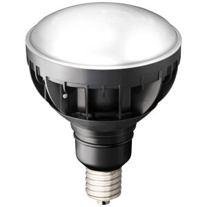 ���LED���C�g�o���u LDR30N-H-E39/B850