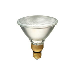 �G���p(ELPA) �n���Q���r�[�������v�U��65W EBRF110V65W