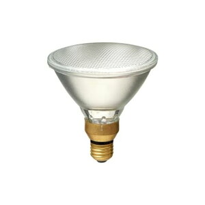 �G���p(ELPA) �n���Q���r�[�������v�U��65W EBRF110V65W