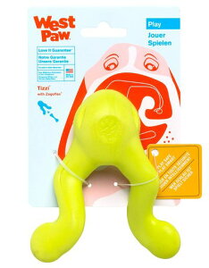 WestPaw(EFXg|E)p]StbNXeBW[Oj[X~X(O[)STCY