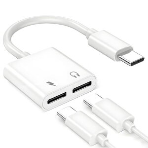 TypeCtoTypeCphone2in1�ϊ��C���z���W���b�N�y2026�V�݌v�z30W�}���[�d�������ʘb�\���y����DAC���ڃ��f��24bit/96kHzHi-Fi�����C���z���[�d�����R���ʘb�y