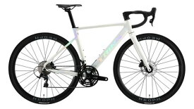 TRINX(トリンクス)ロードバイクコストパフォーマンス2*11速LTWOOR9エアロフレーム700Cアルミフレームアルミフォーク油圧ディスク前後装着TDO700460mmホワイト