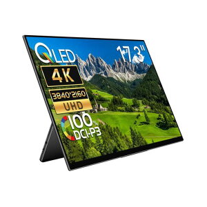 EHOMEWEI���o�C�����j�^�[4K17.3�C���`3840*2160QLED�p�l���|�[�^�u���f�B�X�v���CDCI-P3100%�f�W�^���V�l�}�K�iFreeSYNC�Ή��Q�[�~���O���j�^�[�X�s�[�J�[�����u���[���C�g�J�b�g���^5mm