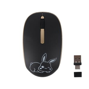 CX}EX2.4GHzUSB-C&USB-AΉÉw^yʌgїp1200DPIdr킢qpPC/m[gp\R/Rs[^[/X}z/^ubg/MacbookɑΉubN