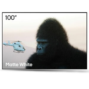 AWOL Vision �v���W�F�N�^�[�X�N���[�� �Ǌ|���� 100�C���` ���œ_�E�Z�œ_���Ή� 170° 4K�Ή� �z�[���V�A�^�[ �ݒu�ȒP ��c�p (MW-100)