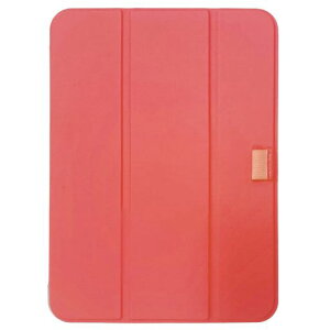 iPad10.9C`102022pyʃn[hP[XJo[sNZ0533