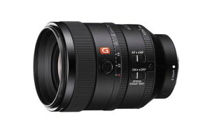 SONY(\j[)]Pœ_YtTCYFE100mmF2.8STFGMOSSGMasterfW^J[E}Eg]pYSEL100F28GM
