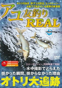 SURFAAACE(T[tF[X)AFނREAL(A)