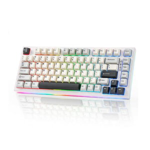 YUNZII YZ75 75% �z�b�g�X���b�v�Ή����C�����X�Q�[�~���O�L�[�{�[�h RGB�o�b�N���C�g BT5.0/2.4G/USB-C�ADye Sub PBT�L�[�L���b�v Linux/Win/Mac�p �Z�K�F�؎擾(Gateron G Pro