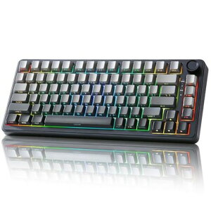 YUNZII B75 75% �L�� ���J�j�J���L�[�{�[�h �z�b�g�X���b�v�Ή� �K�X�P�b�g���� RGB�o�b�N���C�g ���ϋv �p��z�� PBT�L�[�L���b�v �`�F���[�v���t�@�C�� Win/Mac�p (�O���f�[�V�����E�u���b�N, R�c