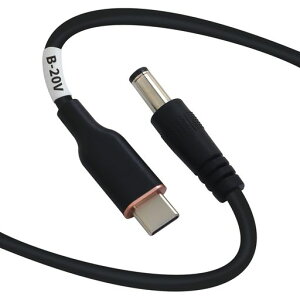 DSDTECHMagicConnSH-CP20BUSB�^�C�vCPD-DC�d���P�[�u��(55x21)-20V