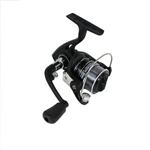 �V�F�A�[�Ysolfiesta(�\���t�F�X�^)�X�s�j���O���[��KADDRESS(�J�h���X)2000�u���b�N