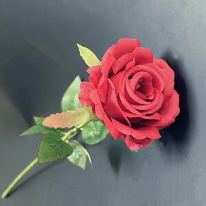 ԃo[YKN1{Zbgbhԑo^Cf[u[P̓aԌa7cmx42cmJƏjAwjAƏjAЏjAސEjAJXjȂǑlȃMtgɂc