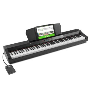 アレシス 電子ピアノ」の人気商品一覧 | 安い商品を通販サイトから探す 