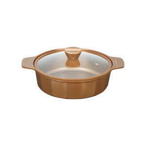 VISIONS�r�W���������26cmIH�Ή��K���X�W�tGOLDCoatingCP-8805