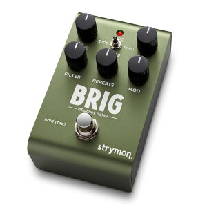 Strymon/BRIGdBucketDelay�f�B���C�I�[�K�j�b�N�G�R�[�X�g���C����